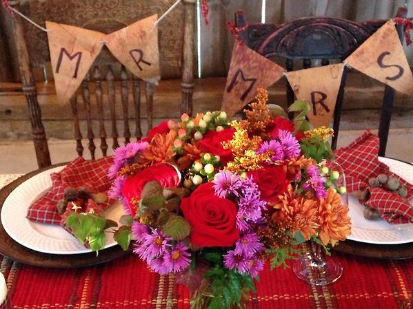 Mountain Village Farm B&B