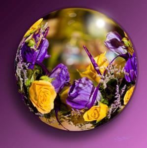The Yellow Rose Florist
