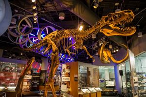 NRC 3rd Floor Exhibit Areas