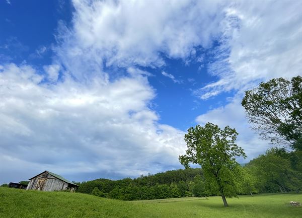 Senter Farms and Wedding Venue
