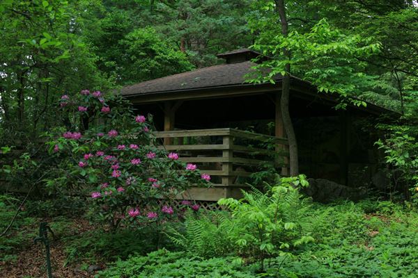 Edith J. Carrier Arboretum at James Madison University
