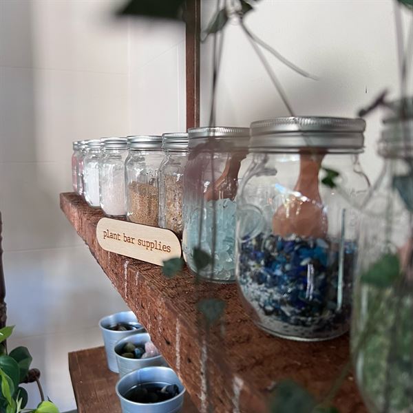 Little Green a Plant Bar