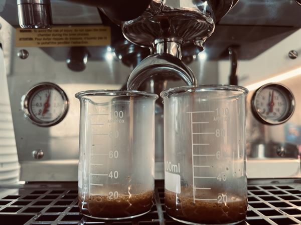 Little Green a Plant Bar