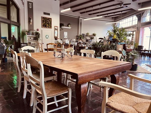 Little Green a Plant Bar