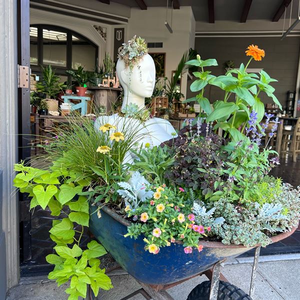 Little Green a Plant Bar