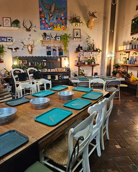 Little Green a Plant Bar