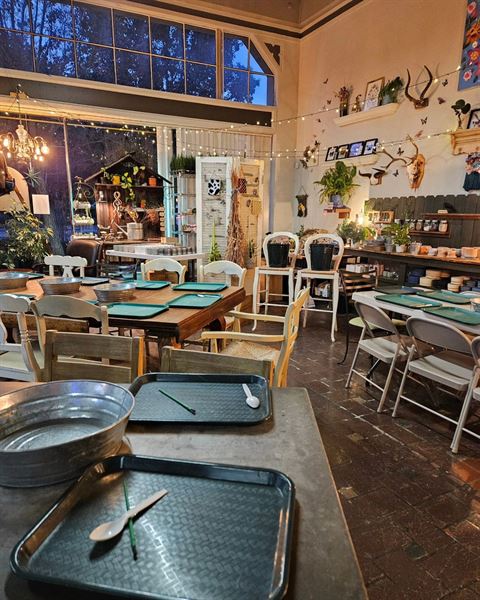 Little Green a Plant Bar