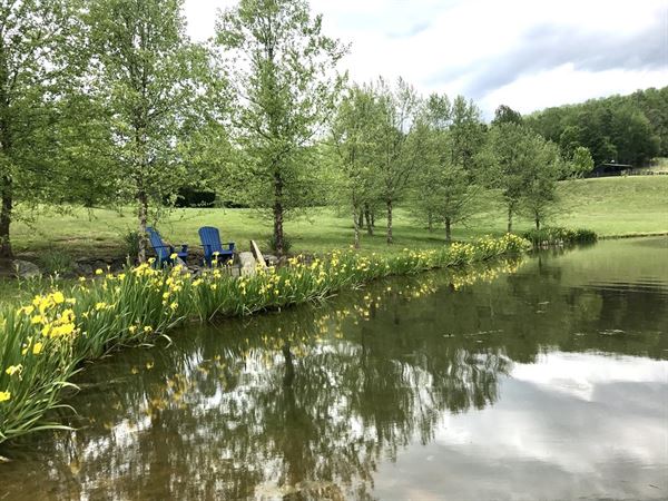 Cedarmere In The Blue Ridge