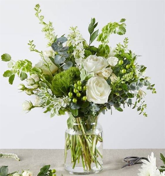 Morning Glory Flower Shop - Wilmette