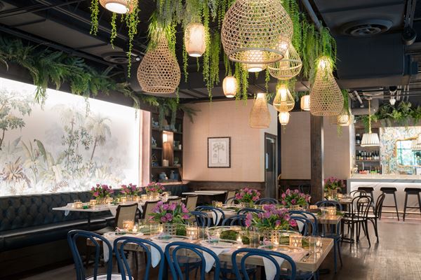 Dorothy's Cocktail & Oyster Bar