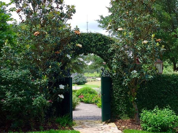 Fall Creek Vineyards at Driftwood