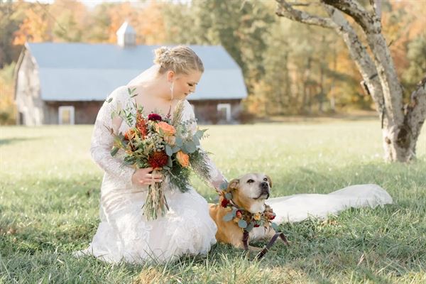 Highland Barn Wedding and Event Venue