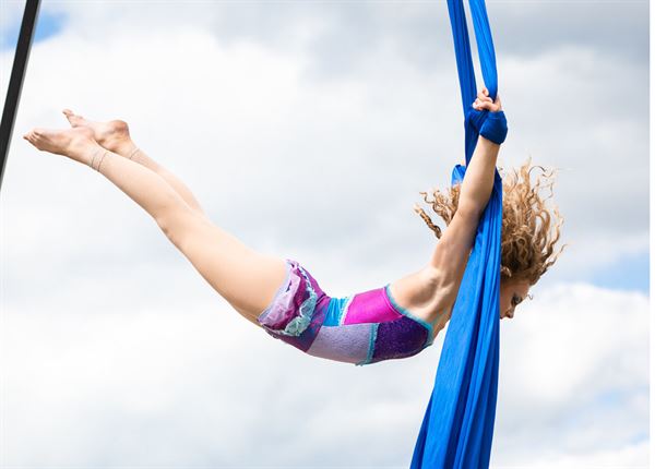 Wings Aerial Acrobats LLC