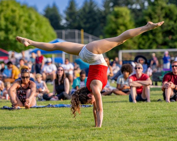 Wings Aerial Acrobats LLC