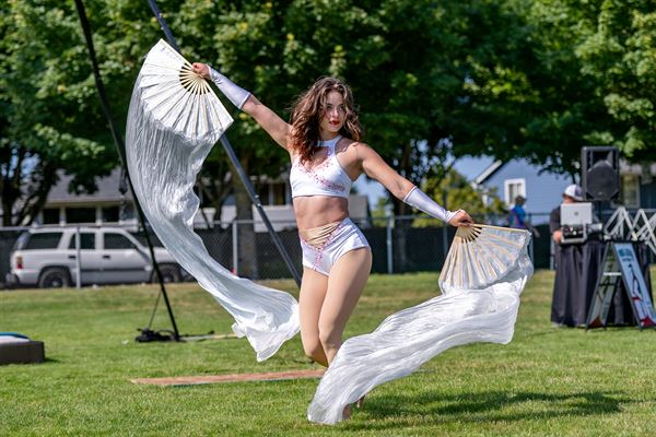 Wings Aerial Acrobats LLC