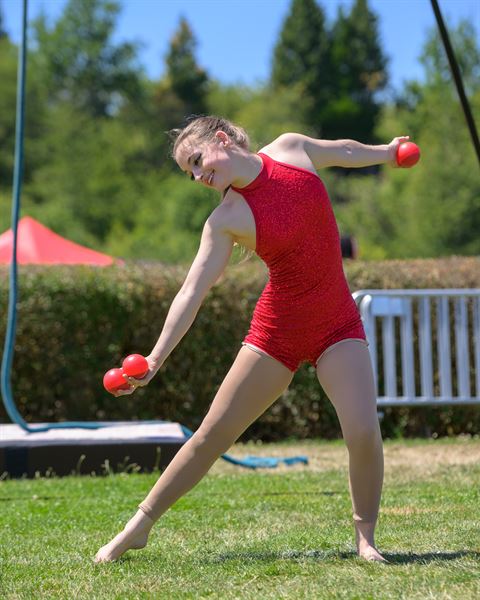 Wings Aerial Acrobats LLC