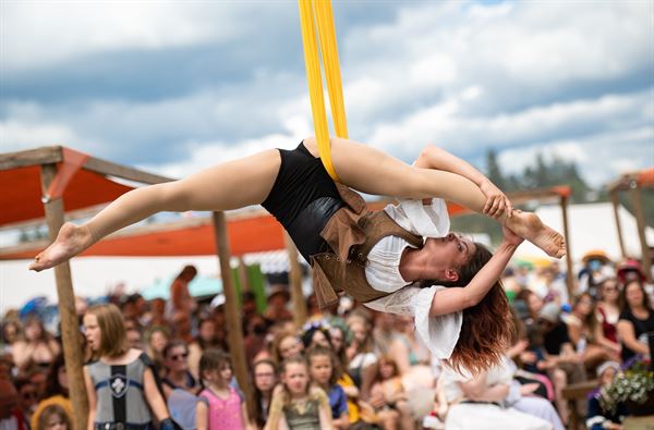 Wings Aerial Acrobats LLC