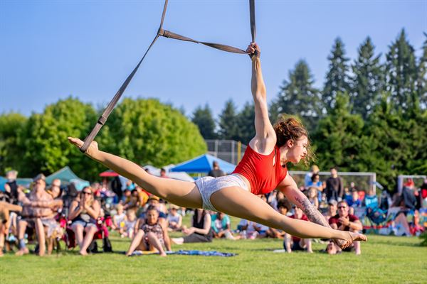 Wings Aerial Acrobats LLC