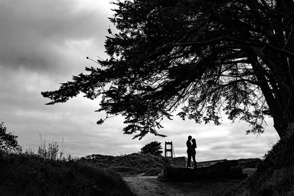 Lisa Stone Photography