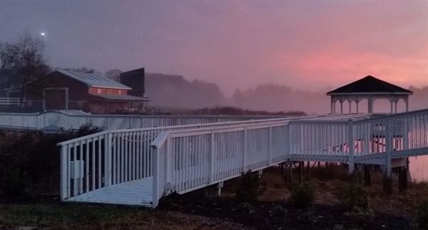 Summer Brook Plantation