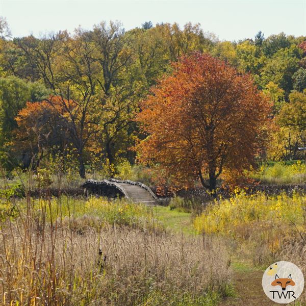 Three Waters Reserve