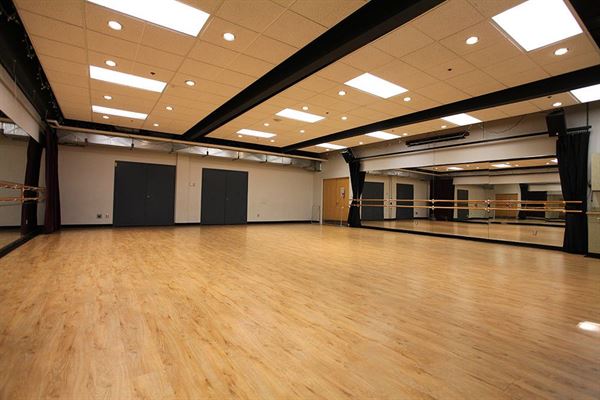 Rotary Centre for the Arts