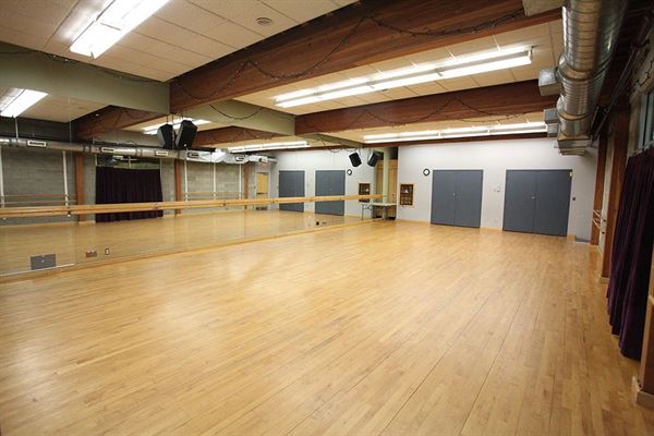 Rotary Centre for the Arts