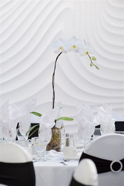 Coast Tsawwassen Inn - Delta