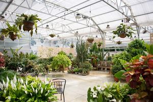 Camphill Soltane Greenhouse