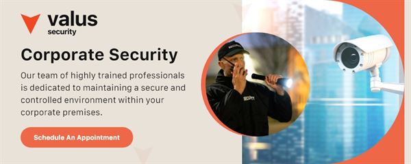 Valus Security