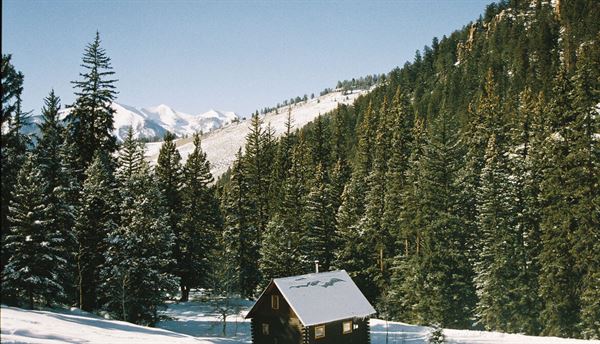 Pioneer Guest Cabins