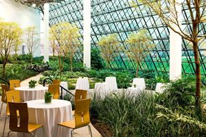 The Town Center Garden Atrium