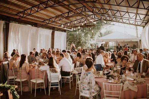 Knotted Roots on the Lake