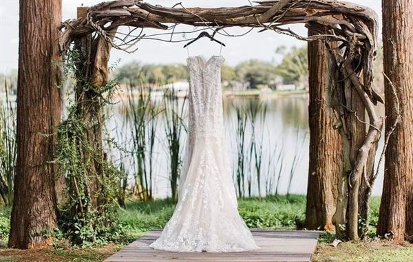 Knotted Roots on the Lake