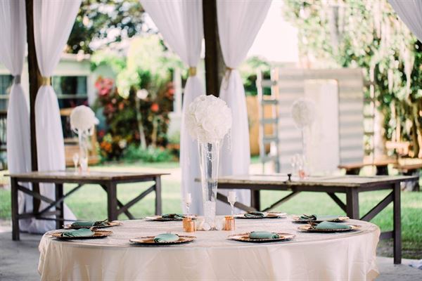 Knotted Roots on the Lake