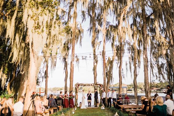 Knotted Roots on the Lake