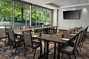 Blueridge Meeting Room