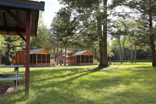 Bison Trace Luxury Camping