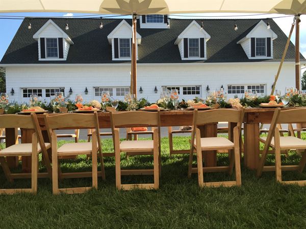 DiMeo Farms & Blueberry Plants Nursery