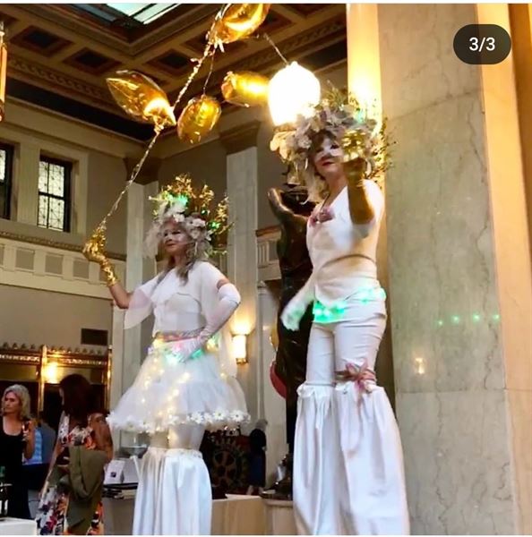 Hamilton Aerial Group