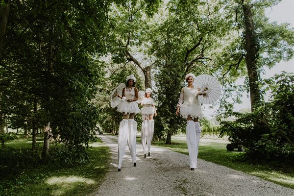 Hamilton Aerial Group