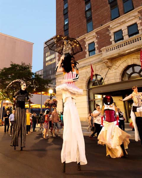 Hamilton Aerial Group