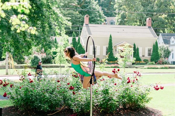 Hamilton Aerial Group