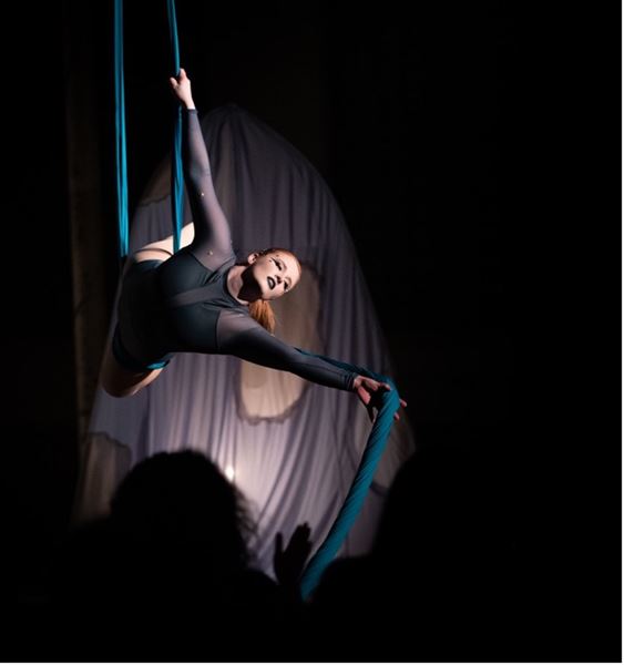 Hamilton Aerial Group