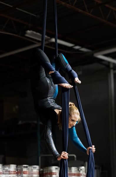 Hamilton Aerial Group