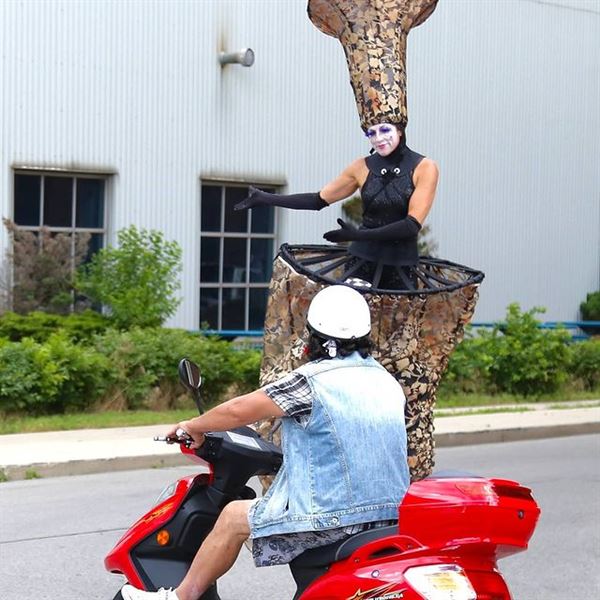 Hamilton Aerial Group