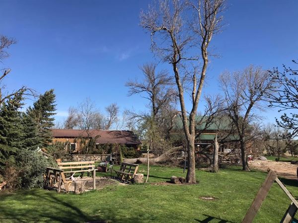 The Bird's Nest Inc.