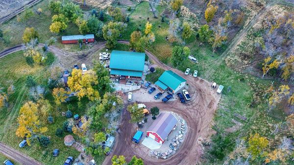 The Bird's Nest Inc.