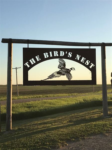 The Bird's Nest Inc.