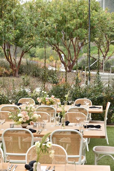 Alexandria at Torrey Pines